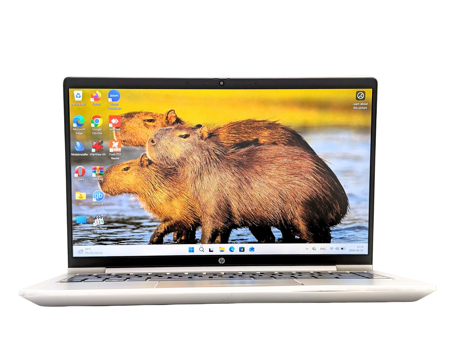 HP ProBook 445 G10/Ryzen3-7330U/16GB/256GB (Refurbished)