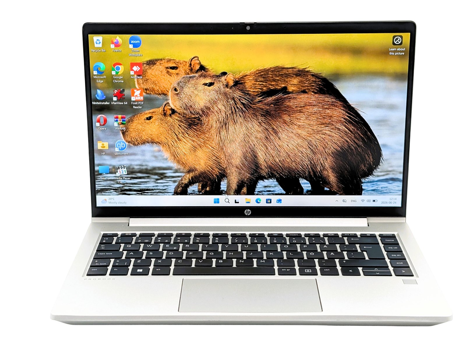 HP ProBook 445 G10/Ryzen3-7330U/16GB/256GB (Refurbished)