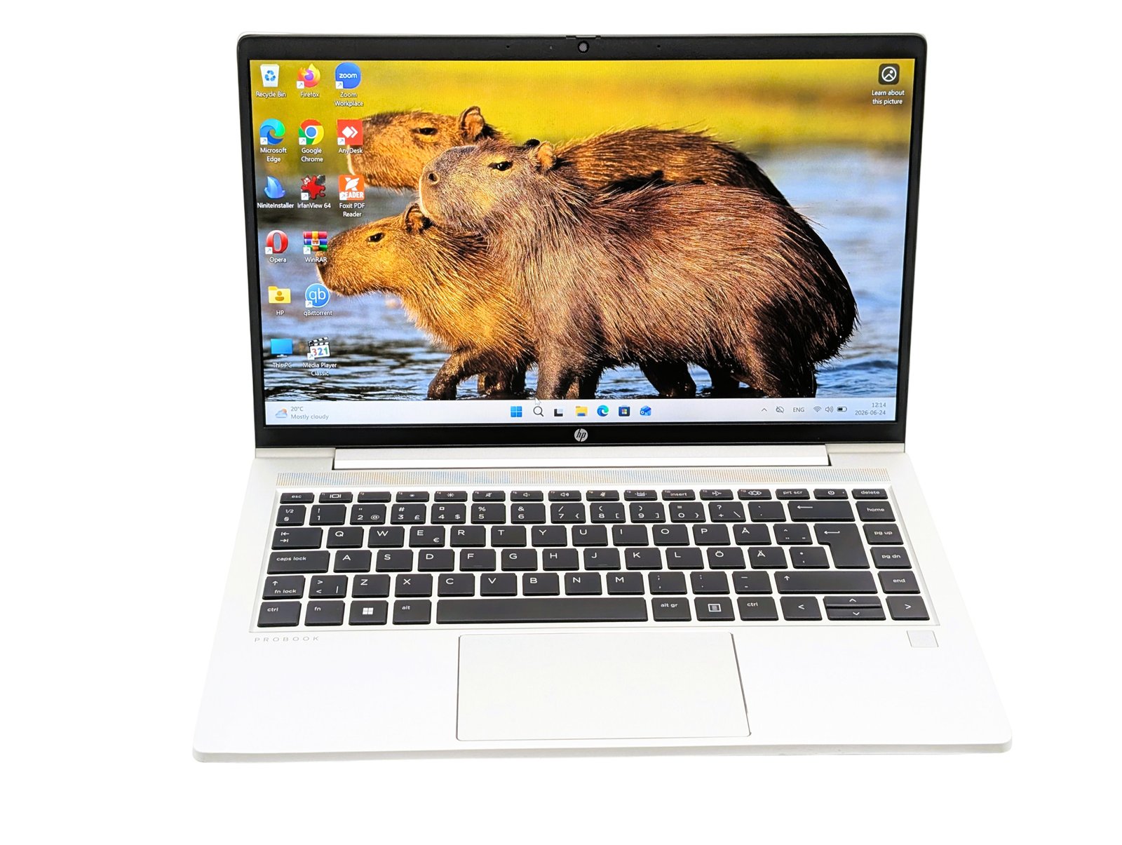 HP ProBook 445 G10/Ryzen3-7330U/16GB/256GB (Refurbished)